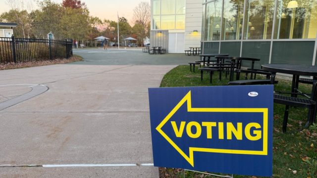 18 Primary Elections Confirmed for August: What Voters Need to Know