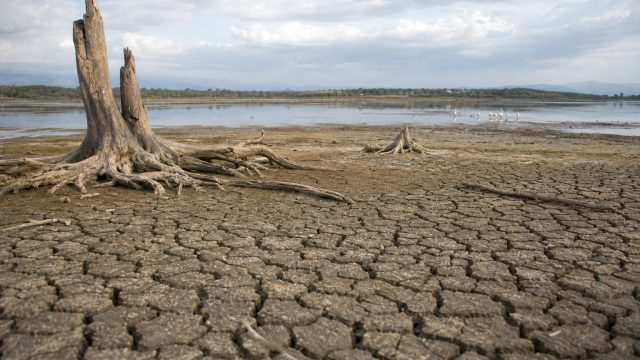 Climate Change Drives Alarm at Lake Naivasha: Key Insights