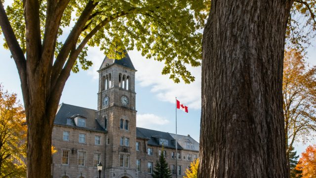 Canadian Town Grants Rights to Trees: A Pioneering Environmental Move