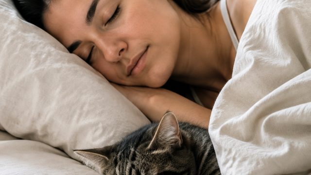 The Essential Role of Sleep for Cats and Their Human Companions