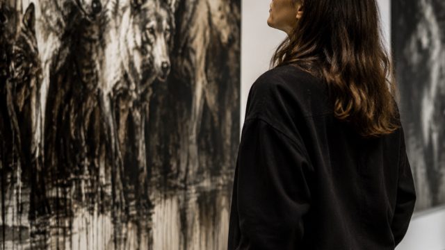 Exploring the Animalistic Themes in Waltner-Toews' Latest Work