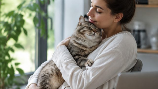 Finding Serenity: How Cats Bring Us Moments of Calm